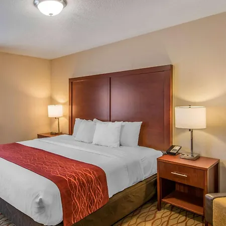 Comfort Inn Mount Shasta Area-3