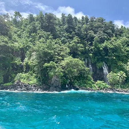 Taveuni Palms Resort-3