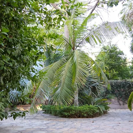 Hotel Casa Ortiz-2