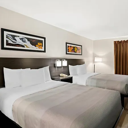 Quality Inn & Suites Dumas-2