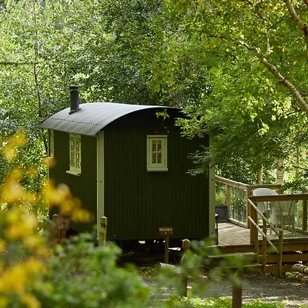 The Fish Hotel-2