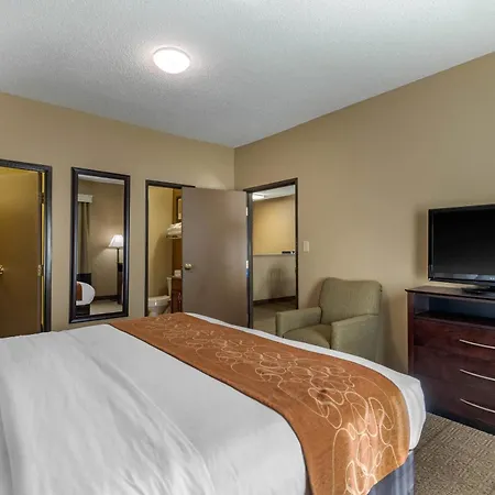 Comfort Suites The Colony - Plano West-3