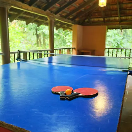 Vythiri Resort-3