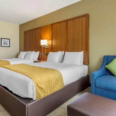 Comfort Inn & Suites Lakewood By Jblm-3