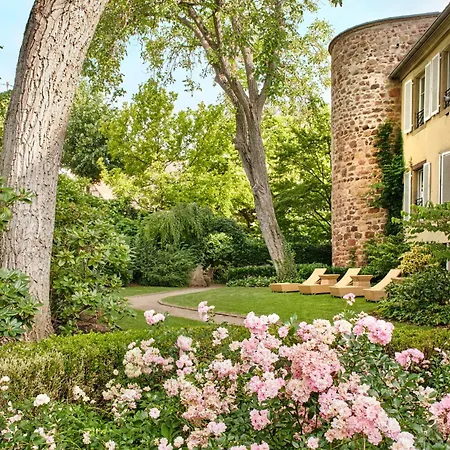 Hotel & Spa A La Cour D'Alsace By Happyculture-3