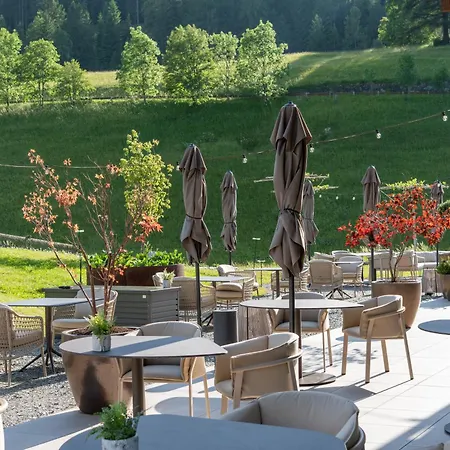 Hotel Badia Hill-3