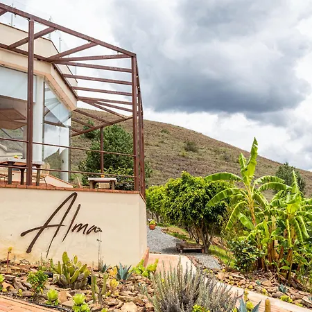 Hotel Alma-3