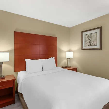 Comfort Inn & Suites Near Fallon Naval Air Station-3