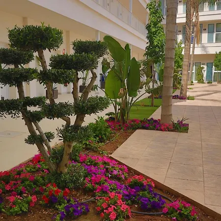 Sh Campus Lyceum-2