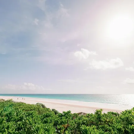 Pink Sands Resort-2