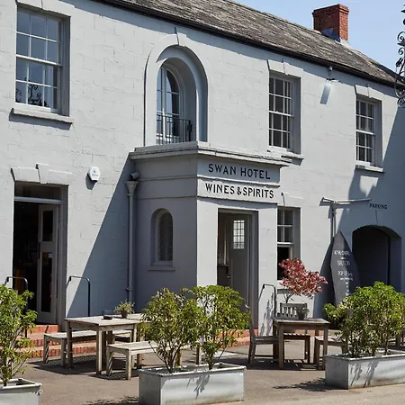 The Swan-3