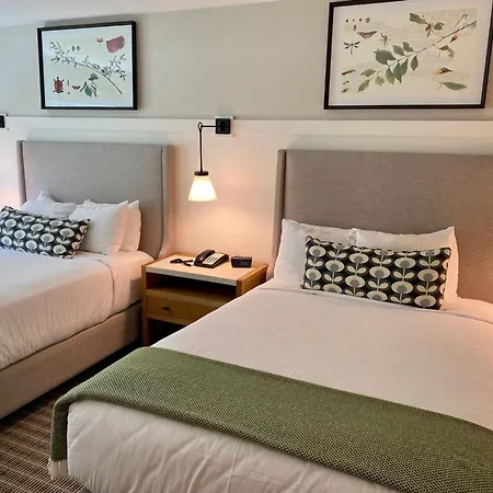 White Mountain Hotel And Resort-2