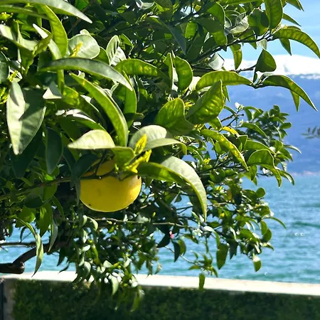 Hotel Villa Giulia-2