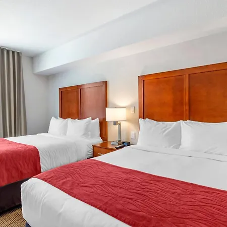 Comfort Inn & Suites-2