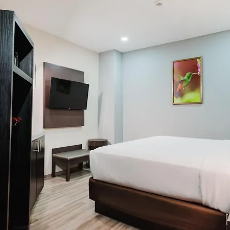 Comfort Inn & Suites Tobago-3