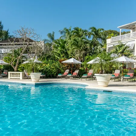 Coral Reef Club-2