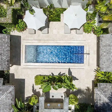 Coral Reef Club-3