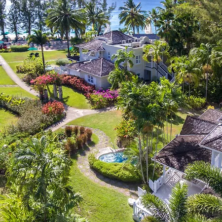 Coral Reef Club-2