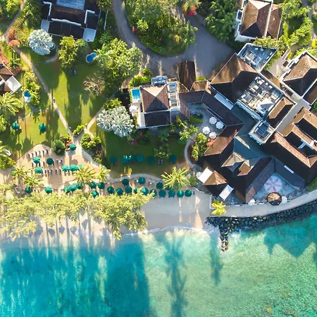 Coral Reef Club-3