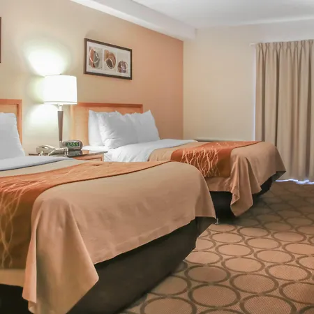 Comfort Inn-3
