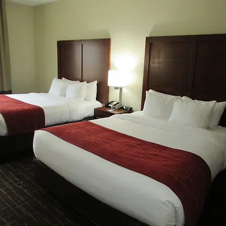 Comfort Inn Wichita Falls Near University-3