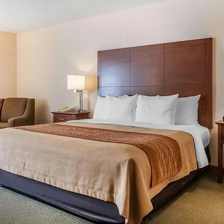 Comfort Inn Salida-3