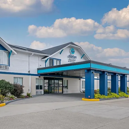 Clarion Pointe Jasper-2