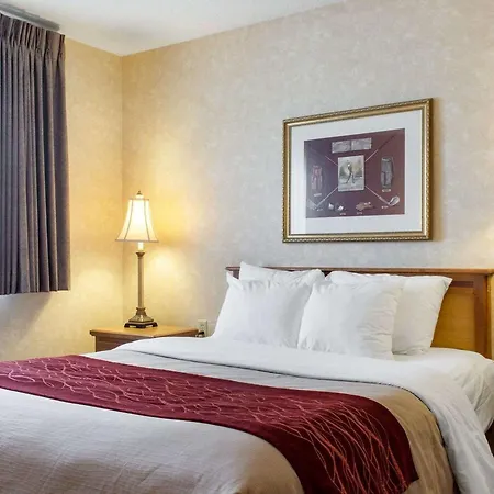 Quality Inn Brandon - Sioux Falls-2