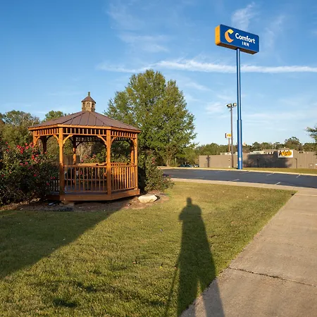 Comfort Inn Opelika - Auburn-2