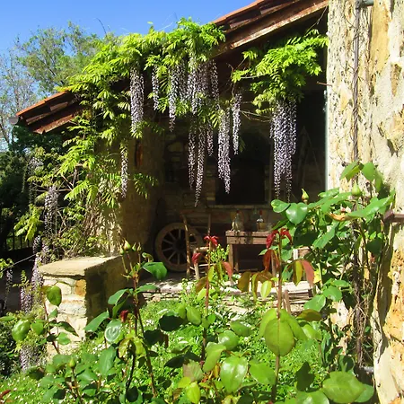 Palazzo Loup Hotel-3
