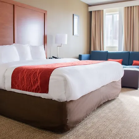 Comfort Inn Dickson-3