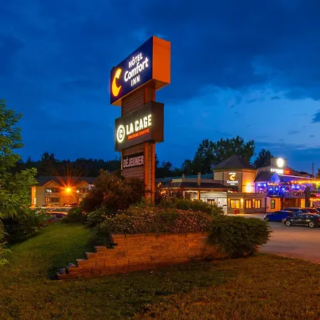 Comfort Inn Mont Laurier-3