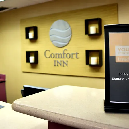 Comfort Inn & Suites Deland - Near University-3