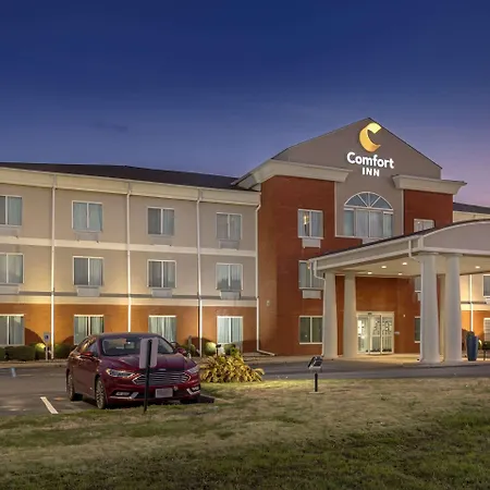 Comfort Inn Us Hwy 80-2