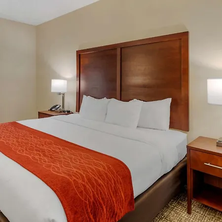 Comfort Inn & Suites Canton Riverstone Area-3