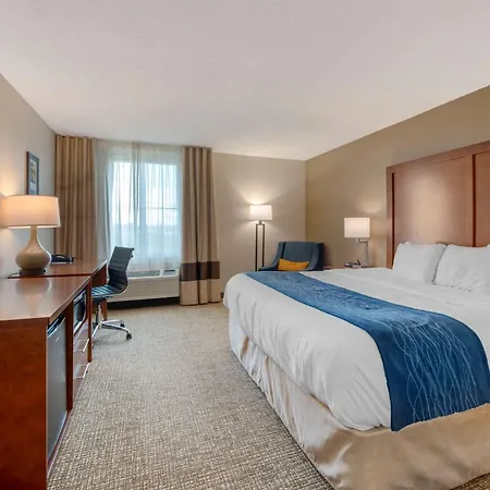 Comfort Inn Anderson South-3