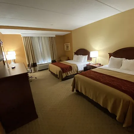 Quality Inn Near Walden Galleria Mall-3