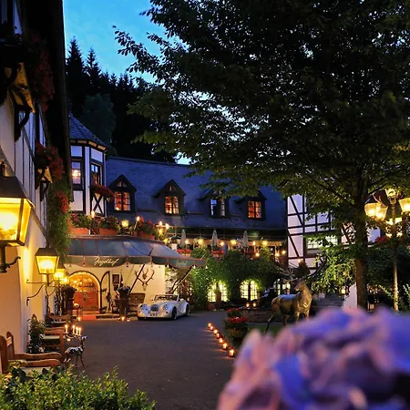 Hotel Jagdhof Glashuette-2