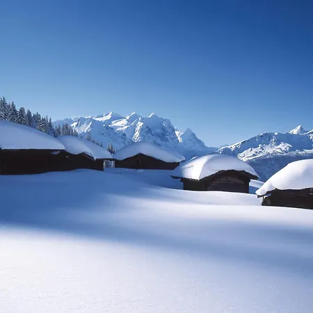 Victoria - Alpine Boutique Hotel & Fine Dining-3