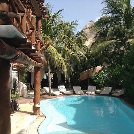 Casa Las Tortugas Petit Beach Hotel & Spa-2