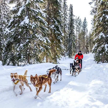 Lapland Hotels Bear'S Lodge-3