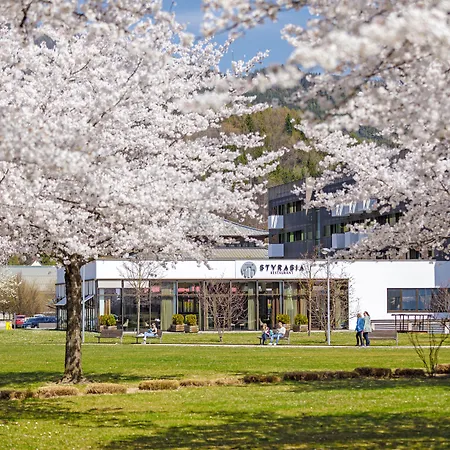 Asia Hotel&Spa Leoben-3