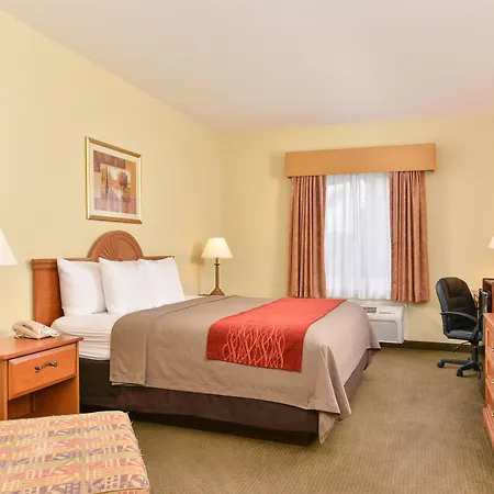 Comfort Inn Marrero - New Orleans West-2
