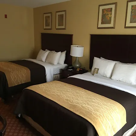 Comfort Inn Naugatuck-Shelton, Ct-2