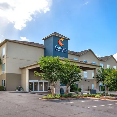 Comfort Inn & Suites Crestview South-3