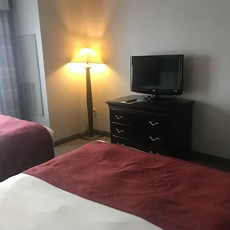 Country Inn & Suites By Radisson, Tampa Airport North, Fl-2