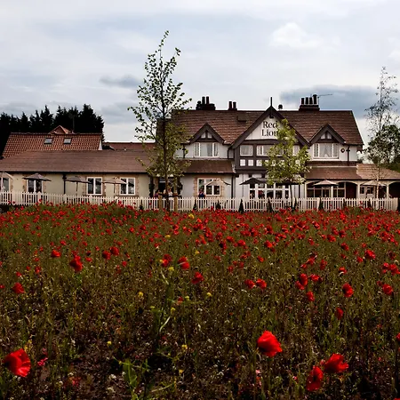The Red Lion Inn By Chef & Brewer Collection-2