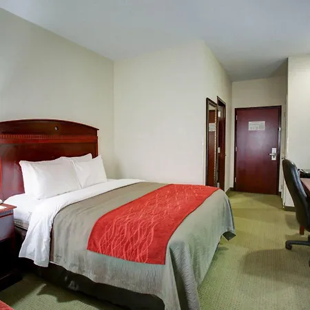 Quality Inn Rockdale-3