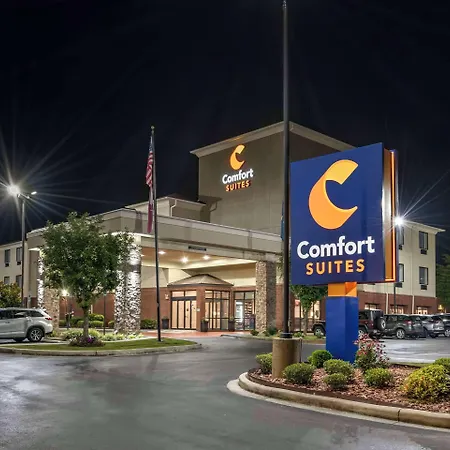 Comfort Suites Pell City Near Logan Martin Lake-3