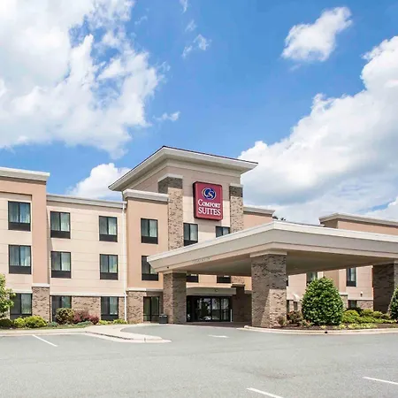 Comfort Suites Whitsett - Greensboro East-2